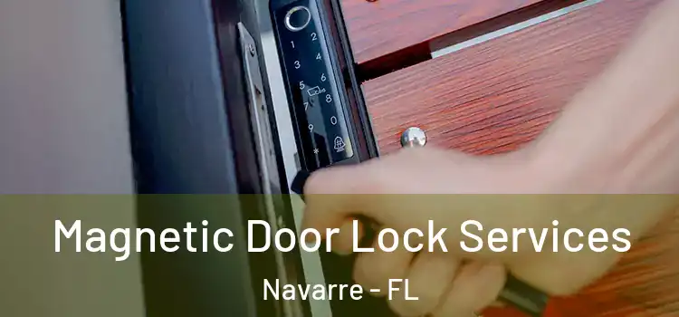 Magnetic Door Lock Services Navarre - FL